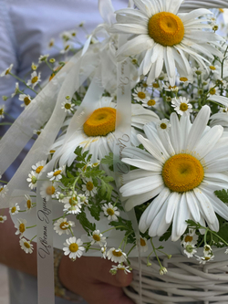 Корзина ромашек «Поле»