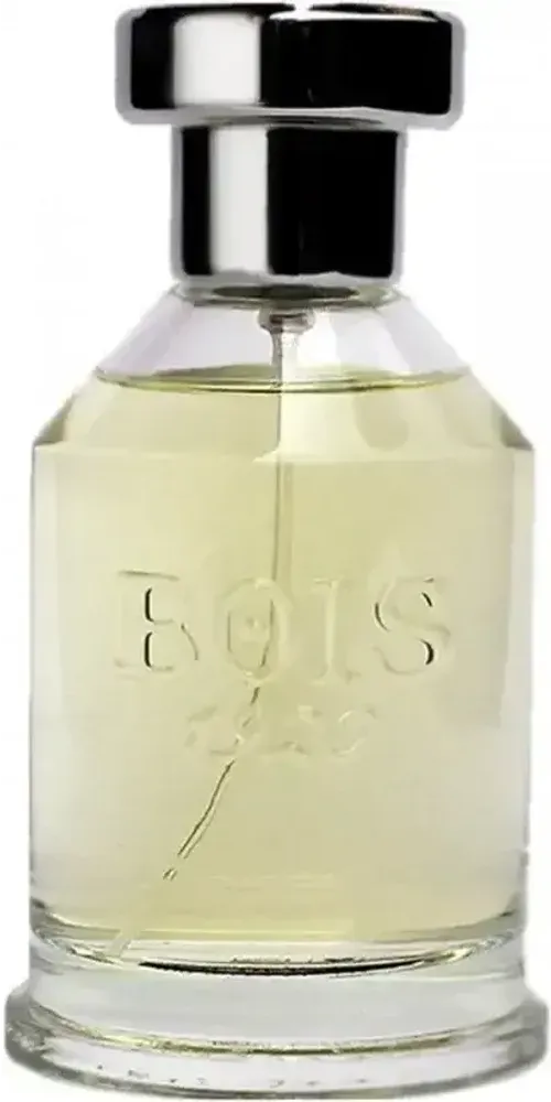 BOIS 1920 PARANA EDP 100 ML BOIS 1920 PARANA EDP 100 ML