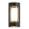 Уличный настенный светодиодный светильник Escada 30006W/01LED