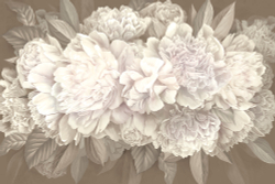 Коллекция Flower dreams 2