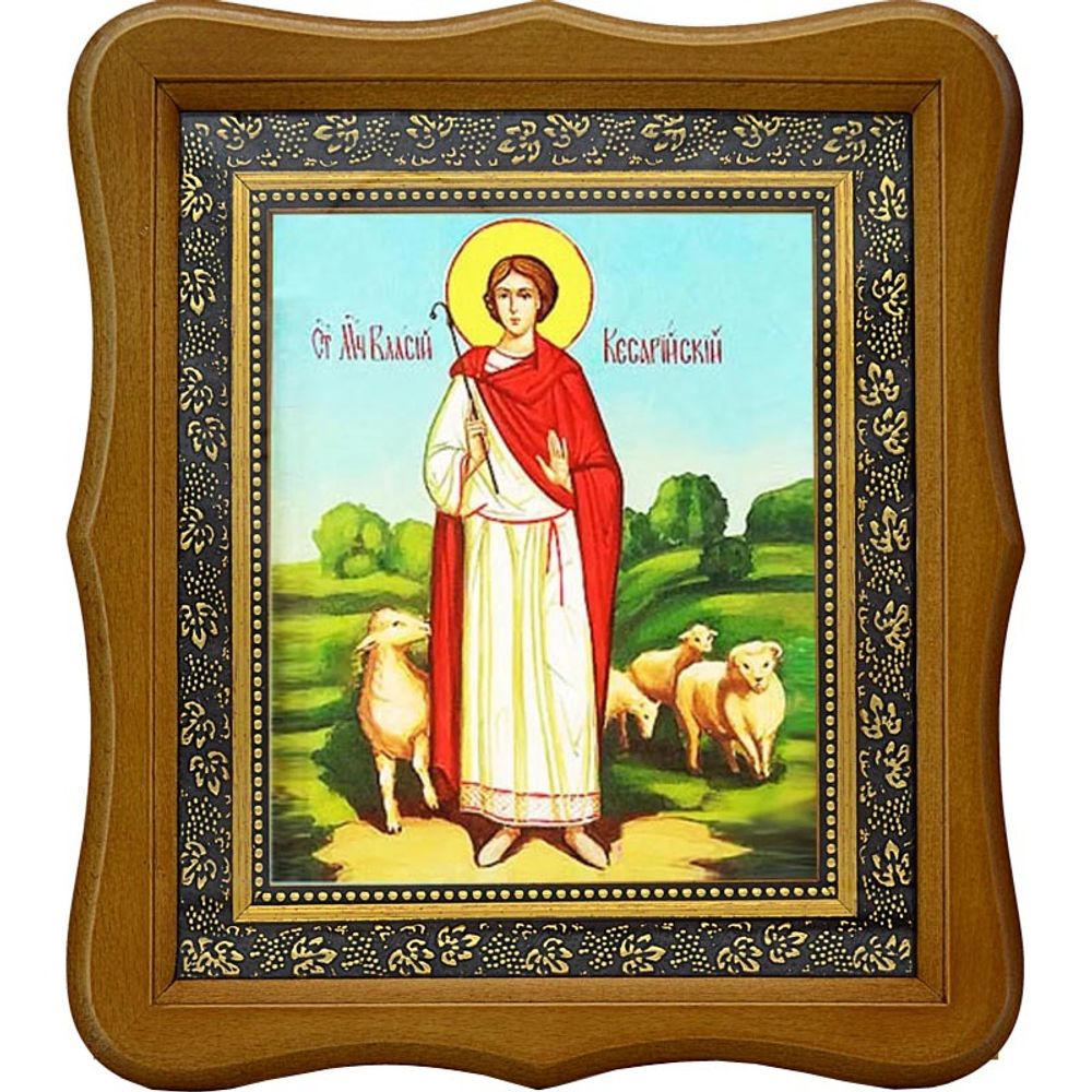 Власий Кесарийский Святой мученик. Икона на холсте.