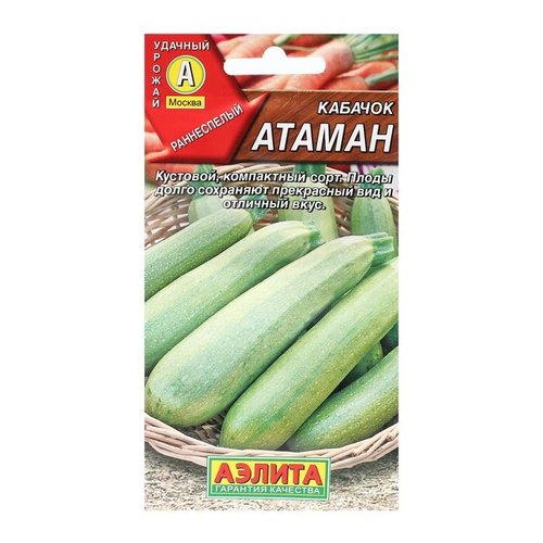 Кабачок Атаман 1г