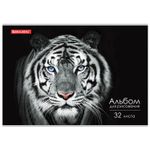 Альбом для рисования А4 32 л., скоба, обложка картон, BRAUBERG ЭКО, 202х285 мм, "Тигр" (1 вид), 105610