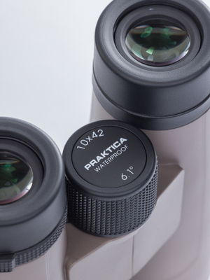Бинокль Praktica Pioneer R 10x42 (PRA244)