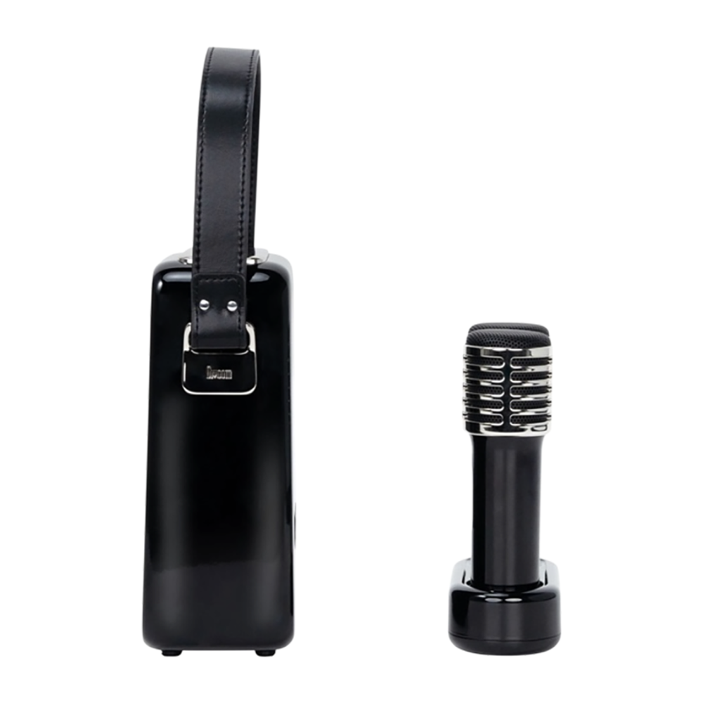 Портативная колонка с двумя микрофонами и караоке Divoom SongBird-HQ 2