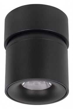 Накладной светильник Loft it 10180 Black