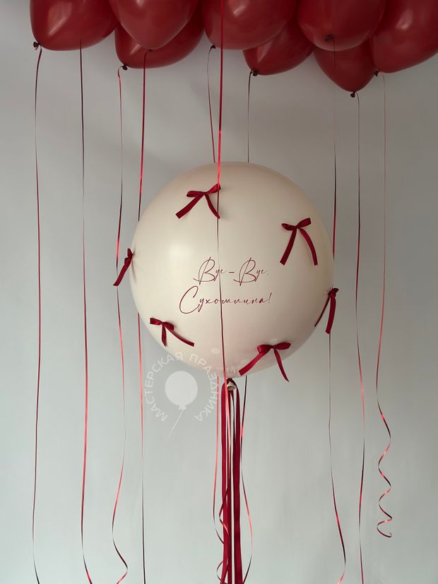 Воздушные шары на девичник №8799