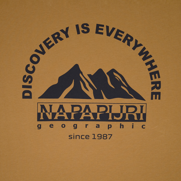 Футболка мужская Napapijri S-Freestyle Short Sleeve T-Shirt артикул:NA4HFSN97 - купить в магазине Дайс