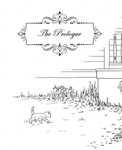 Daddy Long Legs. Coloring Book