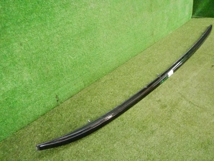 DSCN2900.jpg