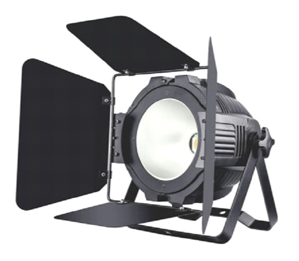 200W WW+CW COB LED Par