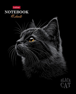 12jbnizaijmigi3xlg1526xoas45c6qm