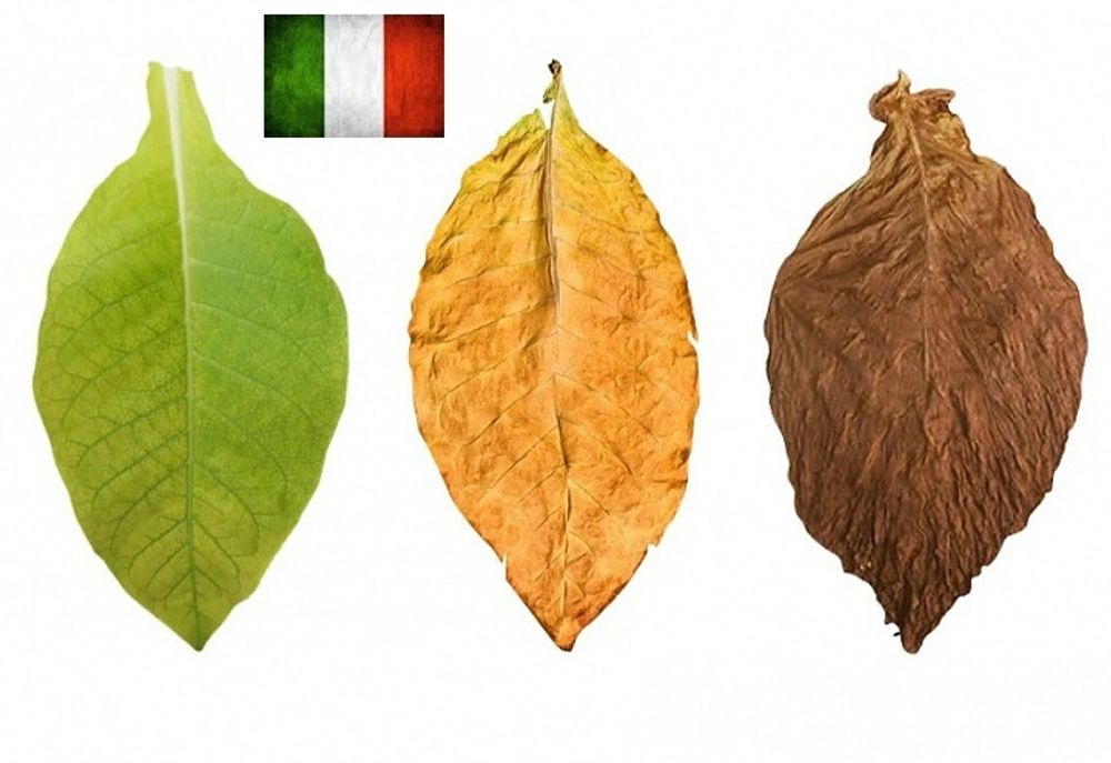 7 Leaves | Табачный (FL), ароматизатор пищевой
