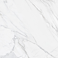 LCM Trend Line Calacatta 80x80