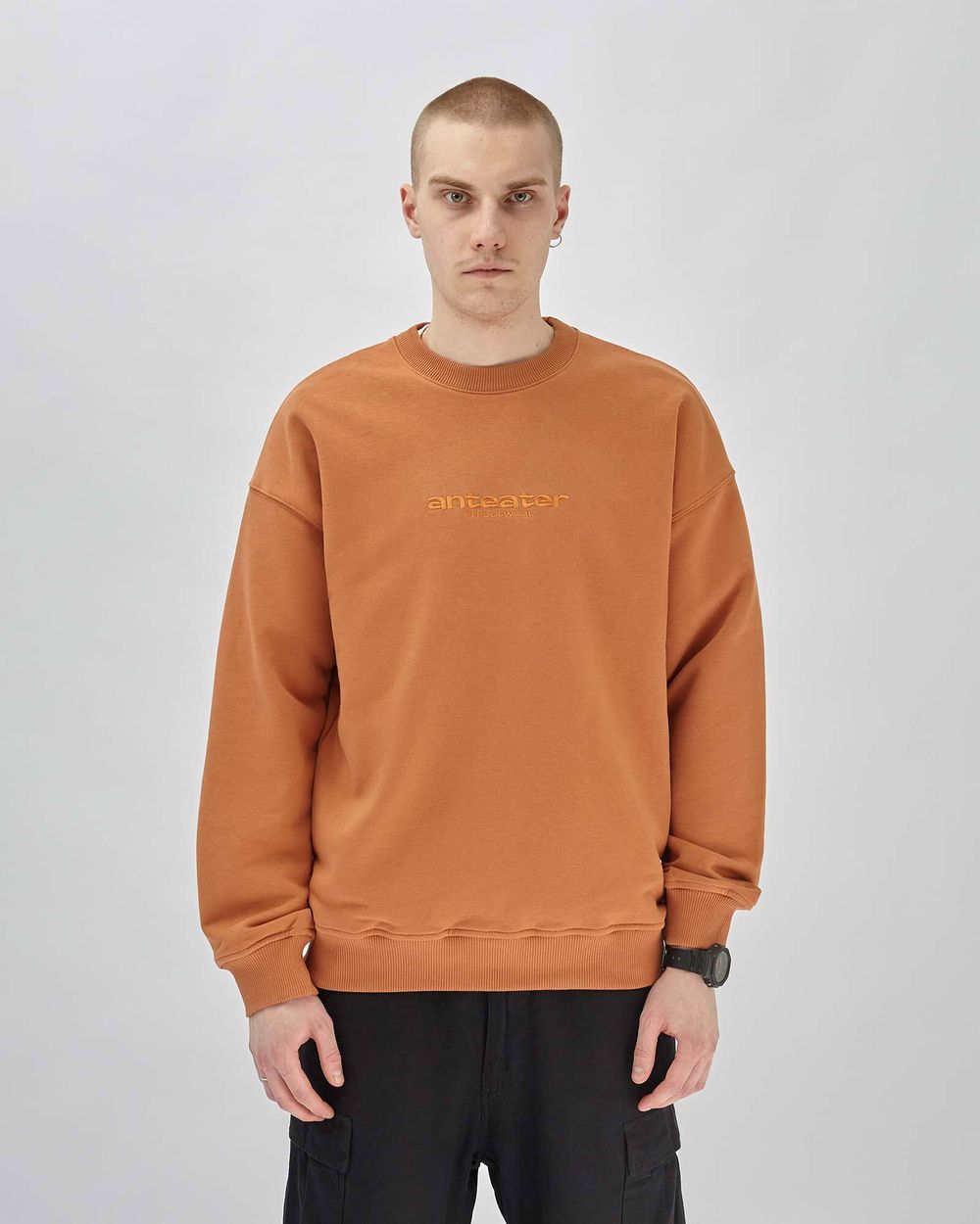 Толстовка Anteater Crewneck Streetwear терракотовая