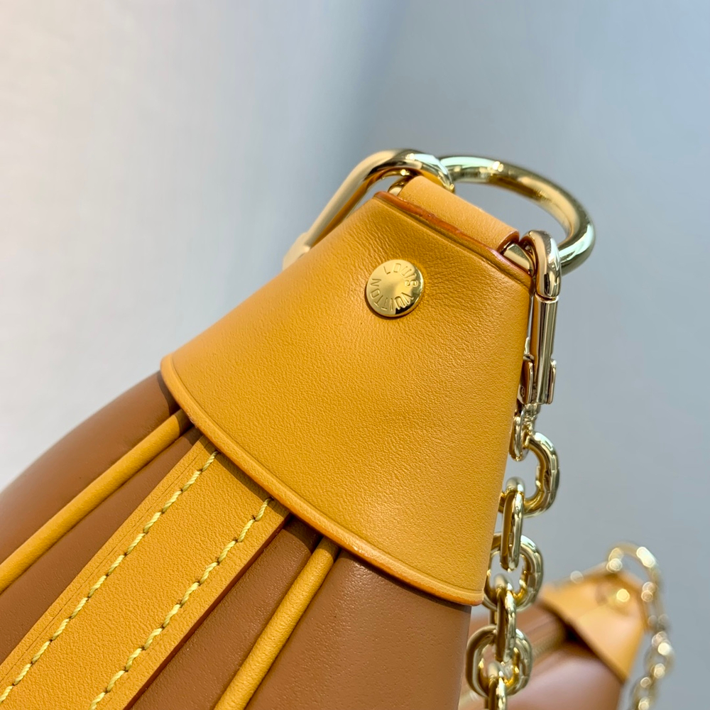 Louis Vuitton Loop Bag