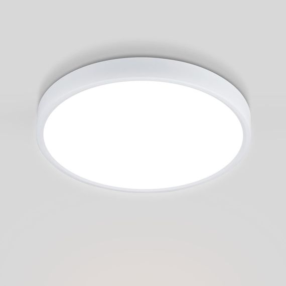 Потолочный светодиодный светильник Elektrostandard DLR034 24W 4200K a043016