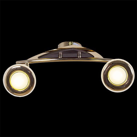 Светильник потолочный поворотный Reluce E14 00640-0.3-02DA FGD+WD