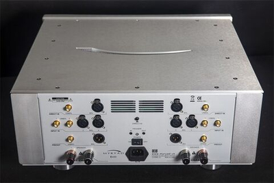 Интегральный усилитель Myryad E400