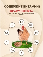 Здравур Несушка Кормовая добавка для кур 1500гр *3шт