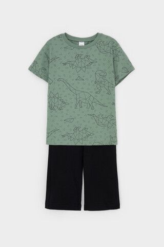 пижама  для мальчика  К 1614/динозавры на зеленом,черный