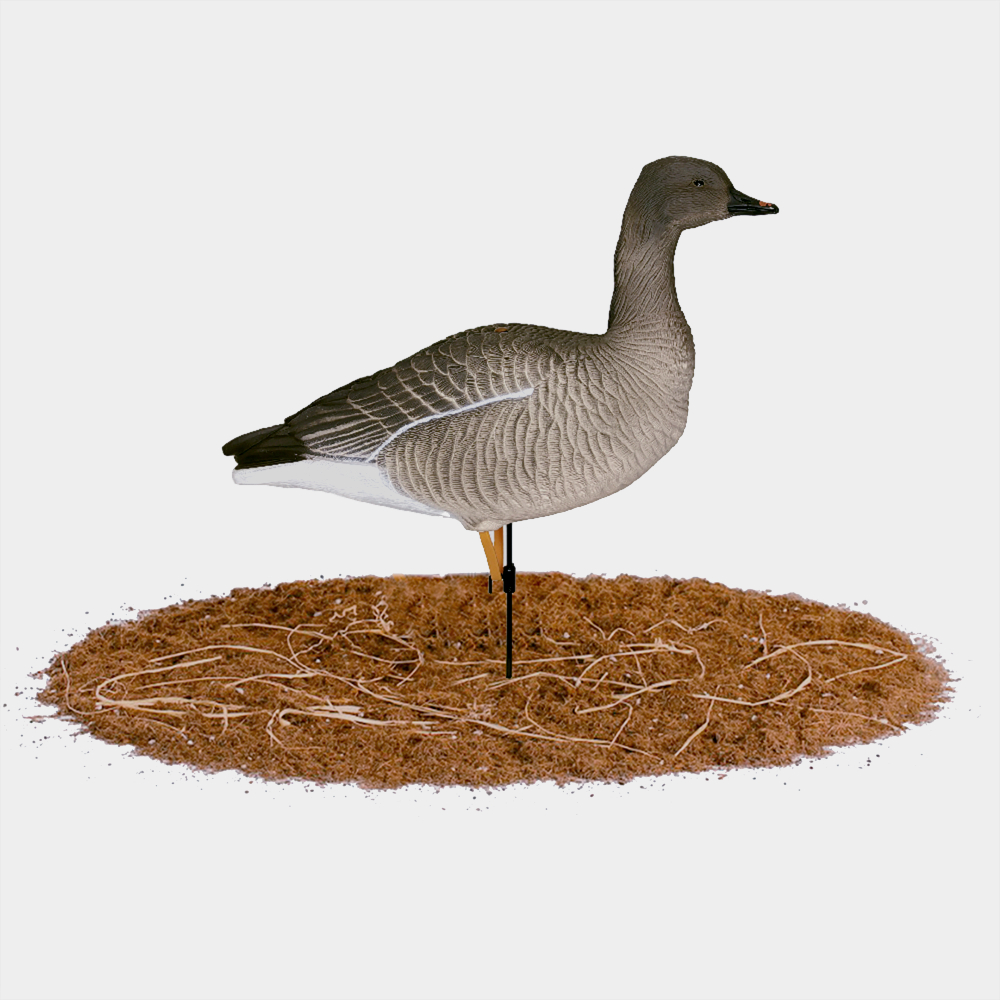 Гусь гуменник Duck Mania "ALFA"