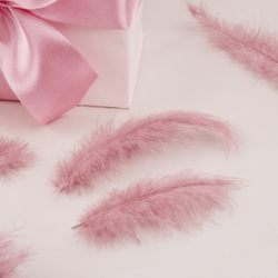 Перья, Премиум, Пыльная роза, 12-15 см, 30 шт.