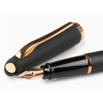 Перьевая ручка Aurora Style Resina Matt Black PGT, перо - F, в подарочной коробке