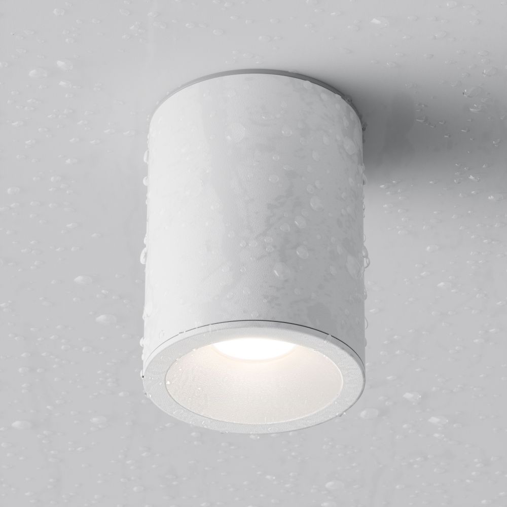 Потолочный светильник Maytoni Alfa C029CL-01W