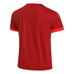 Мужское теннисное поло ASICS Court Shortsleeve Tee T-Shirt Men - Dark Red, Red