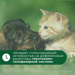 Лакто-Стоп для собак мелких пород и кошек флакон, 7 мл