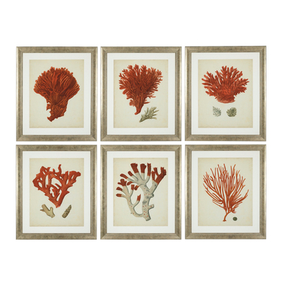 Постер Prints Antique red corals set of 6 арт.111741