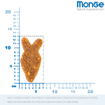 Monge cat monoprotein корм для взрослых кошек с лососем 1,5 кг