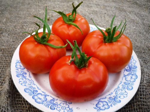 Легендарные Помидоры Rutgers