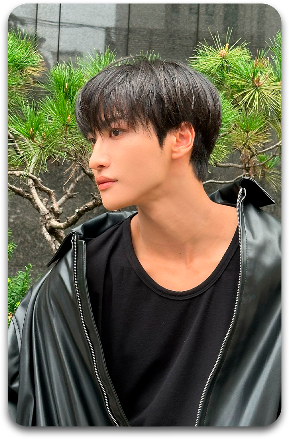 Карта / ATEEZ #1941