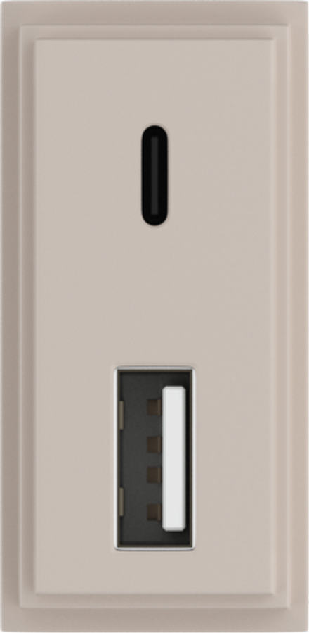 Зарядное устройство USB Стандарт A-С 5V 3100мА 1 модуль,  песочный