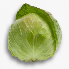 АДЕМА РЗ F1 семена капусты белокочанной (Rijk Zwaan | Alexagro)