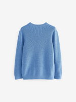 Джемпер для мальчика Next K84-093, Голубой