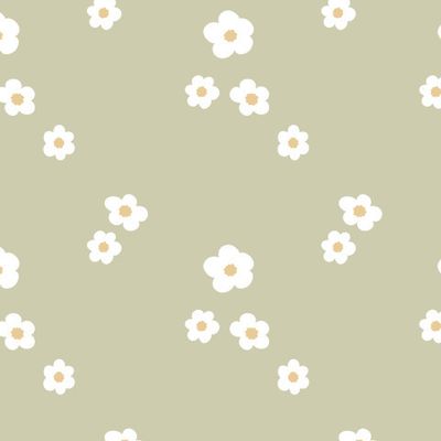 Милые ромашки