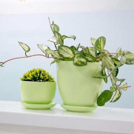 Керамический горшок "Бутон" с подставкой, 0,5 л., Д130 Ш130 В88, нежно-салатовый