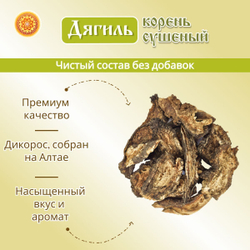 Дягиль корень.
