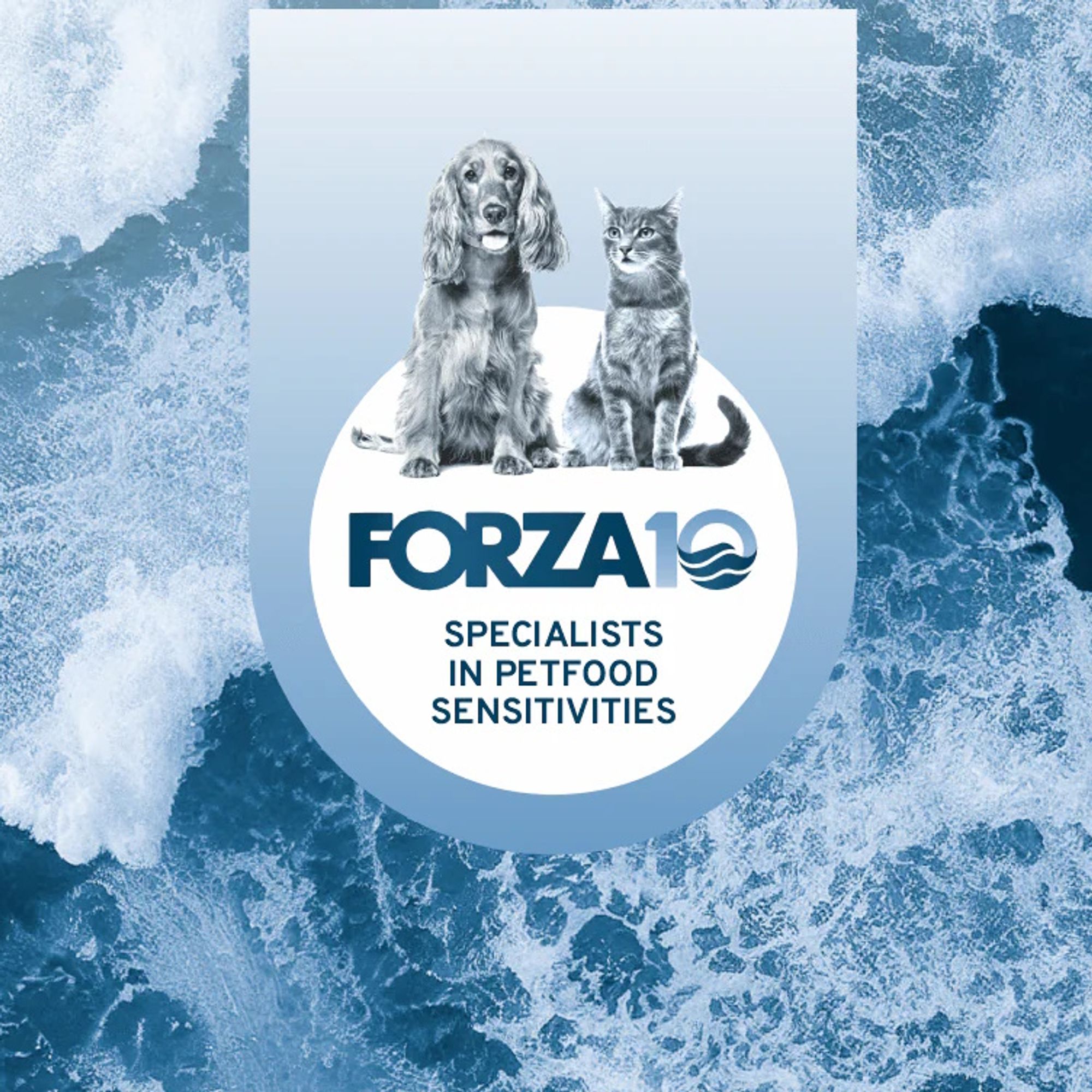 Forza10: ветеринарные диеты, которые реально работают при аллергии и панкреатите