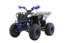 Квадроцикл MOTAX Grizlik A125