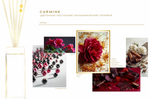 KARLSBACH Диффузор CARMINE 100мл Цветочный/восточный/бальзамический/ роза