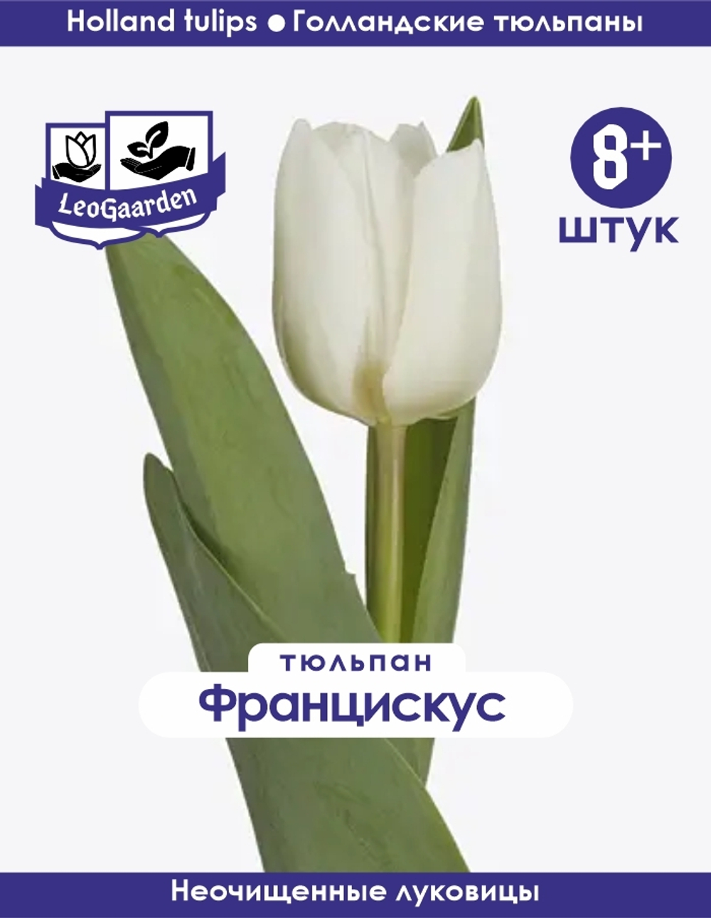 Тюльпан Луковица, Францискус, 8+ шт