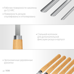 STAYER Wood Master, 8 предм., набор ручных резцов по дереву, Professional (1836)