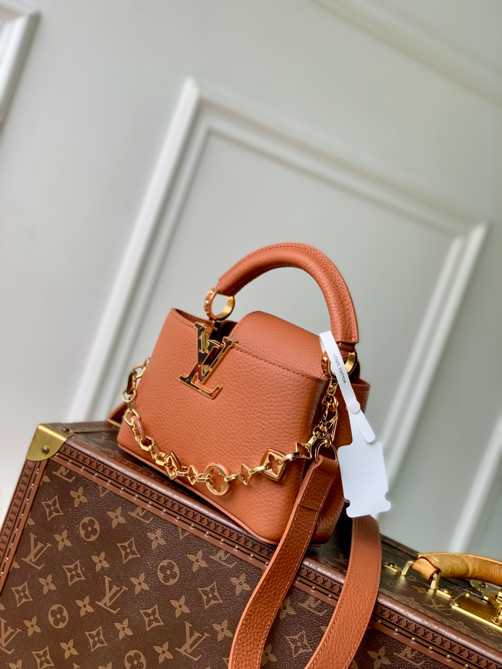 Louis Vuitton Capucines Mini