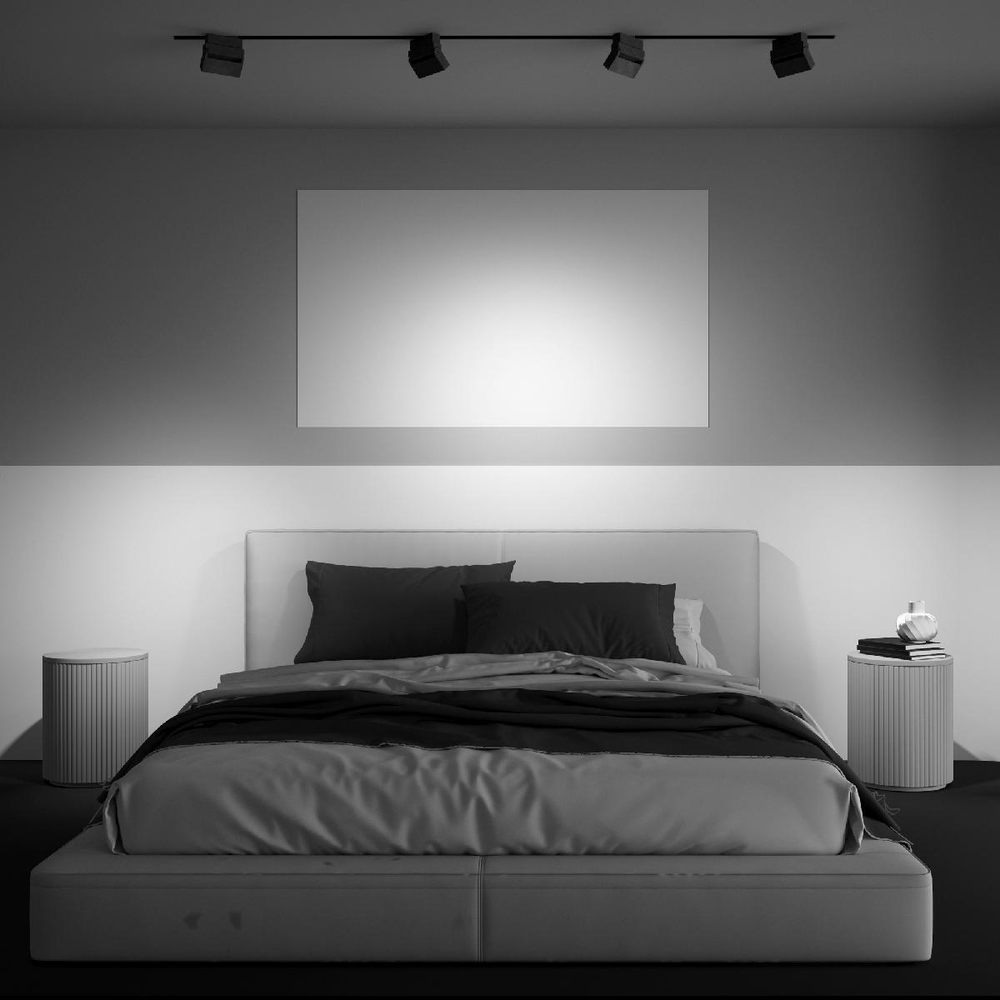 Трековый светильник Maytoni Technical TR077-2-10W4K-B