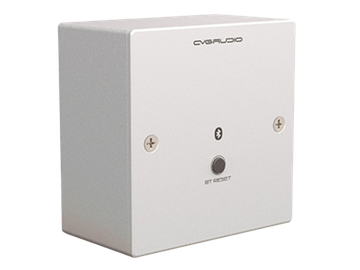 CVGAUDIO PW-BT/W настенная панель с встроенным Bluetooth