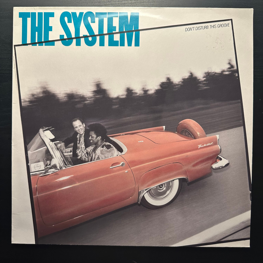 The System - Don't Disturb This Groove (Германия 1987г.)